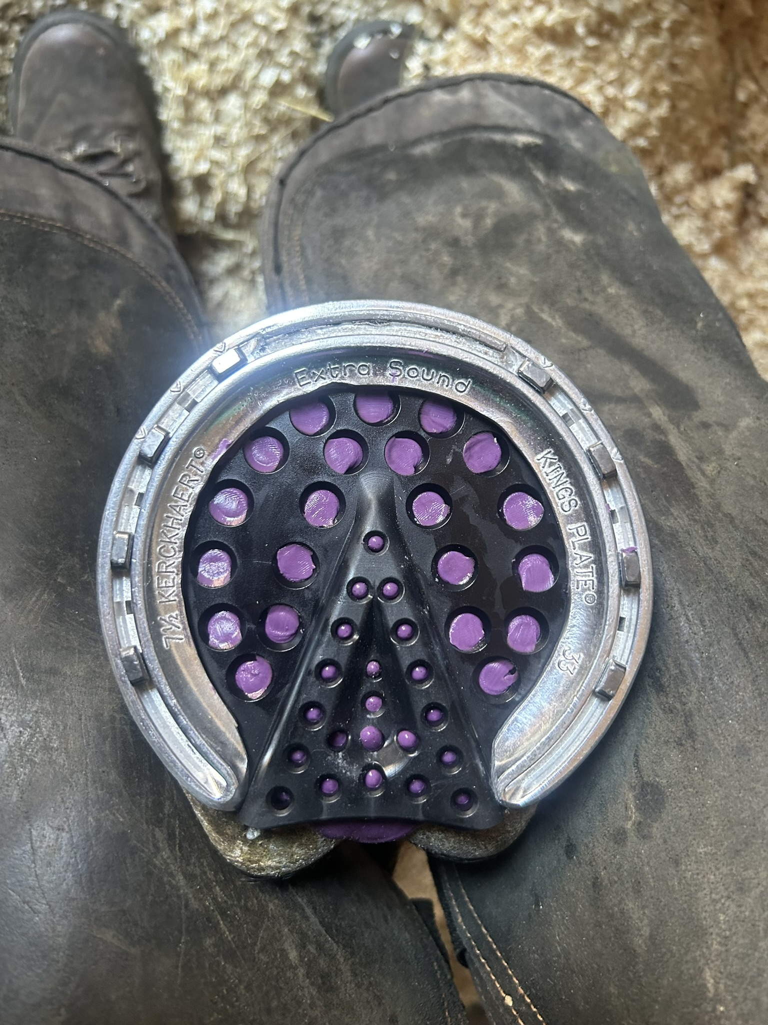 remedial services from a farrier